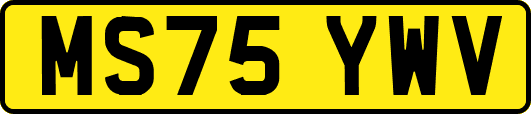 MS75YWV