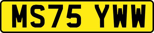 MS75YWW