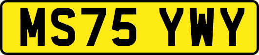MS75YWY