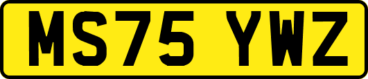 MS75YWZ