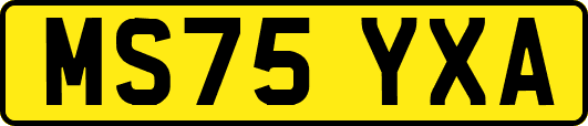 MS75YXA