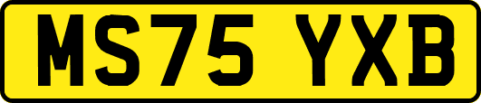 MS75YXB