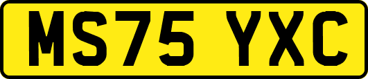 MS75YXC