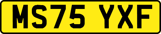 MS75YXF