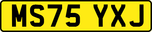 MS75YXJ