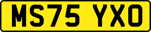 MS75YXO