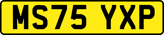 MS75YXP