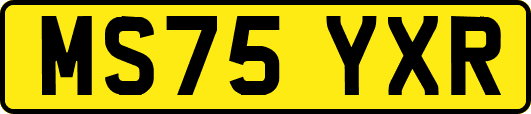 MS75YXR