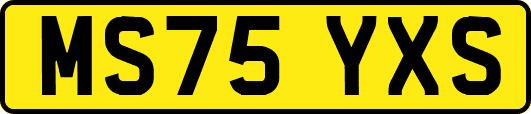 MS75YXS