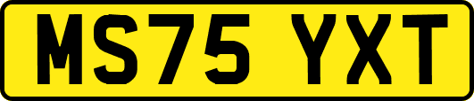MS75YXT