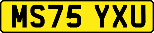 MS75YXU