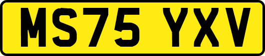 MS75YXV