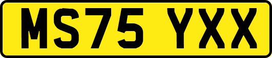 MS75YXX