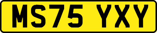 MS75YXY