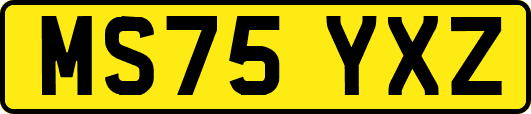 MS75YXZ