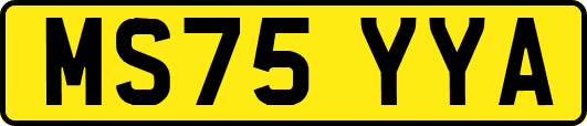 MS75YYA