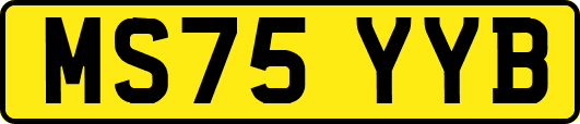 MS75YYB