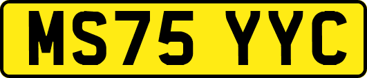 MS75YYC