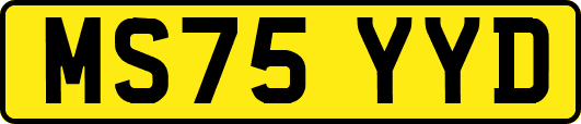 MS75YYD