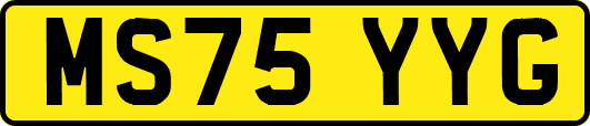 MS75YYG