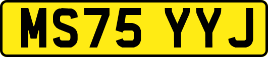MS75YYJ