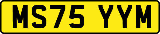MS75YYM