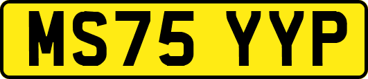MS75YYP