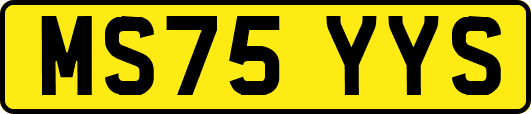 MS75YYS