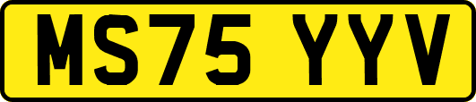 MS75YYV