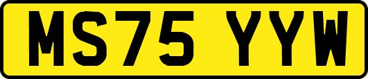 MS75YYW