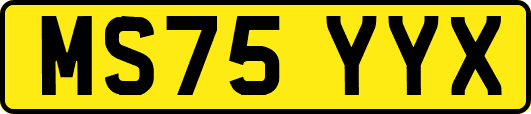 MS75YYX
