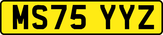 MS75YYZ