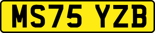 MS75YZB