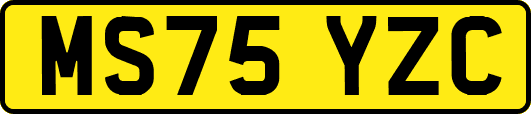 MS75YZC