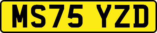 MS75YZD