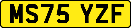 MS75YZF