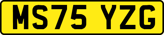 MS75YZG