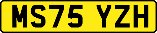 MS75YZH