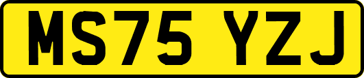 MS75YZJ