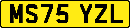 MS75YZL
