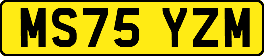 MS75YZM