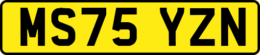 MS75YZN