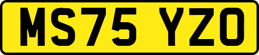 MS75YZO