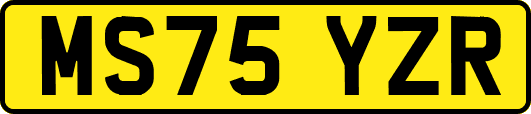 MS75YZR