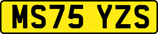 MS75YZS