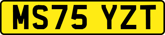 MS75YZT