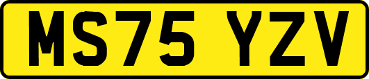 MS75YZV