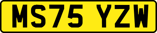 MS75YZW