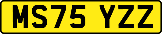 MS75YZZ