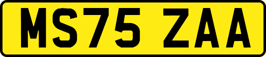 MS75ZAA